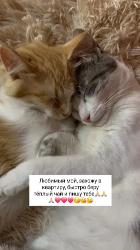 IMG 20260223 220716 737.webp