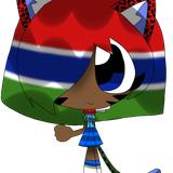 Gina (Gambia) 20260218162432