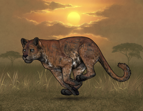 Screenshot 2026 02 23 at 2.19.48 PM.png