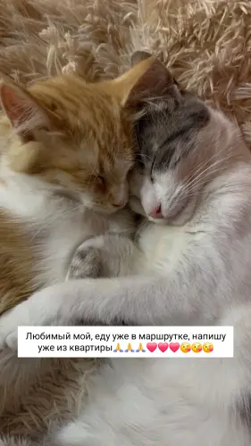 IMG 20260223 214138 984.webp