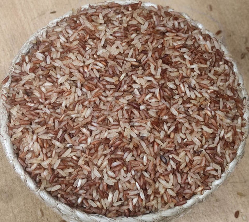 photo 2026 02 19 08 34 31(1).jpg