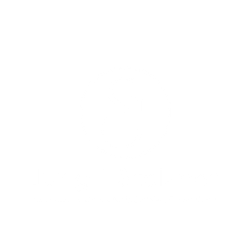 Jung Stelzner Prancheta 1 cópia 6.png
