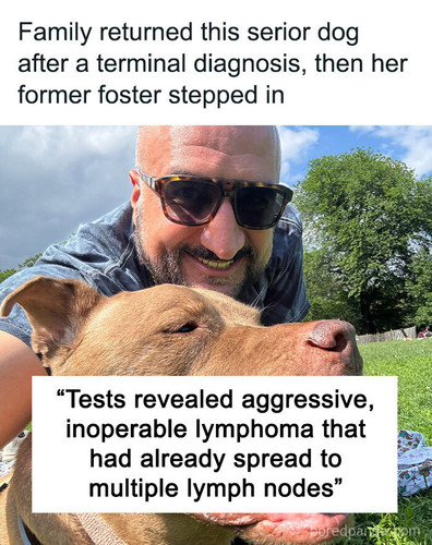 terminal cancer dog adopted.jpg