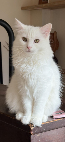 640279398 10164326744050351 4570505979075900225 n.jpg