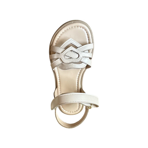 Photoroom 20260213 55354 p.m..jpg