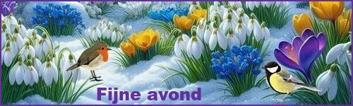 fijne avond (13).jpg