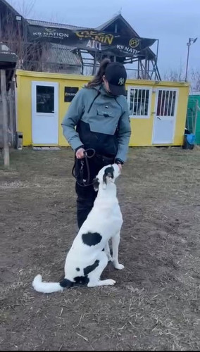 641326424 10162300582556120 5890923720434909717 n.jpg?stp=dst jpg p526x296 tt6& nc cat=106&ccb=1 7& .jpg