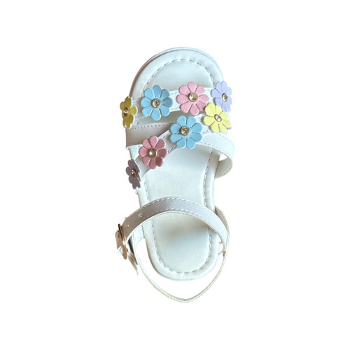 Photoroom 20260213 55422 p.m..jpg