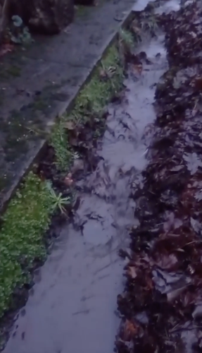 Screenshot 2026 02 23 at 17.24.07.png