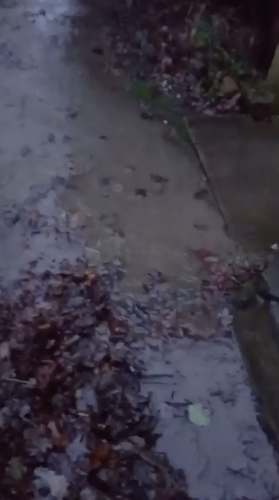 Screenshot 2026 02 23 at 17.23.58.png