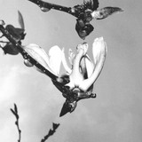 449719176 2009098396257093 8473502895135114809 n