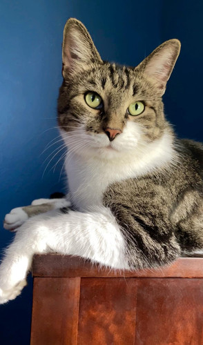 640488395 919231541094556 5406521908064174988 n.jpg