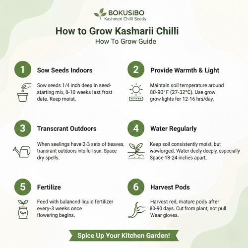 Gemini Generated Image a4uxuqa4uxuqa4ux.jpg