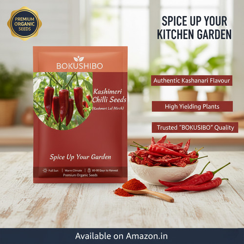 Gemini Generated Image q9xq35q9xq35q9xq.jpg