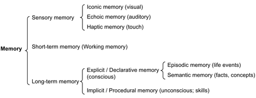 memory types.png