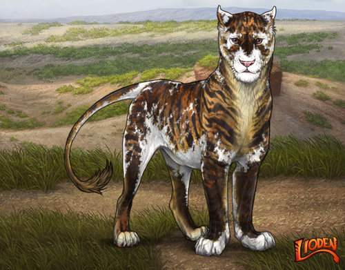 lioden wardrobe 2026 02 24T090301.133.png