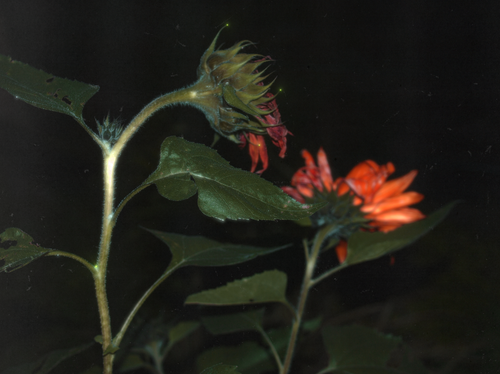 Scherm afbeelding 2024 11 04 om 16 23 15