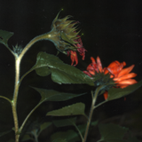 Scherm afbeelding 2024 11 04 om 16 23 15