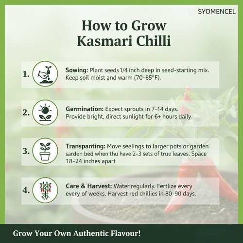 Gemini Generated Image ixp5t3ixp5t3ixp5.jpg