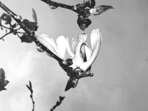 449719176 2009098396257093 8473502895135114809 n.jpg