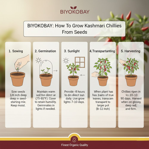 Gemini Generated Image pzvdllpzvdllpzvd.jpg