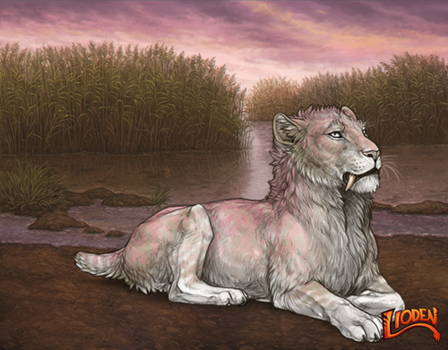 lioden wardrobe 2026 02 24T090615.117.png