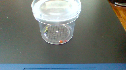 IMG 20260224 100129.jpg