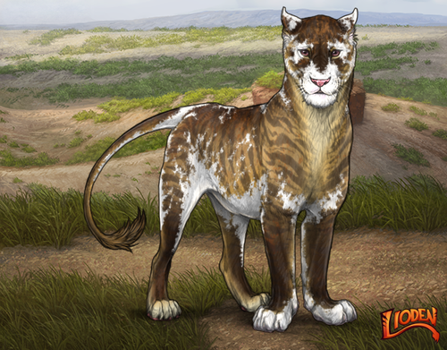 lioden wardrobe 2026 02 24T090239.950.png