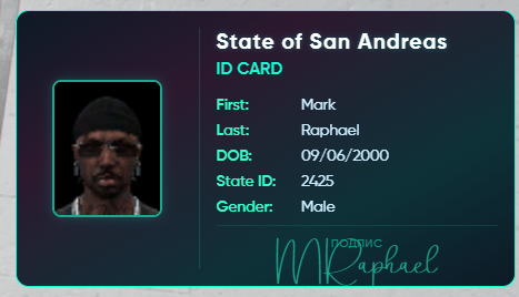 NVIDIA Overlay 4x410NS25m.png