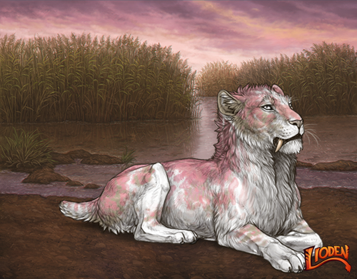 lioden wardrobe 2026 02 24T090639.119.png