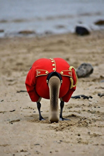 6da201c3 21d9 447d 87a3 874d94748453.jpg