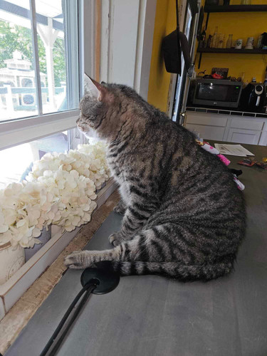 520586674 122202182252259829 2577947954456738812 n.jpg