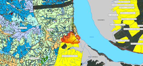 pinares 23 02 2026.png