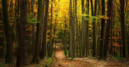 7628791433529116617?url=https%3A%2F%2Fwww.startlap.hu%2Fuploads%2F2026%2F02%2Fpost 22233196.jpg&fb o.jpg