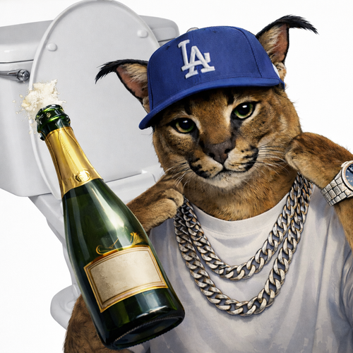 ChatGPT Image 23 февр. 2026 г., 22 37 08.png