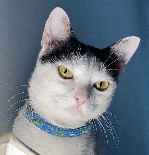 temp image 7FD03BBA AEEF 47CB A99B 1C41DDB7B4B9.jpg