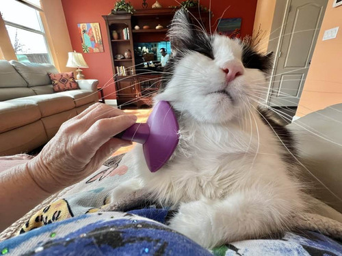 641569841 701234279743057 800583146671886076 n.jpg