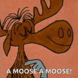 IMG 4393.gif