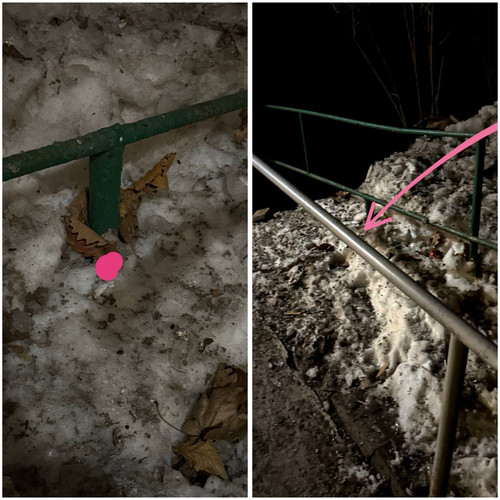 96A805A1 0274 42A7 8725 029625CFAD3D.jpg