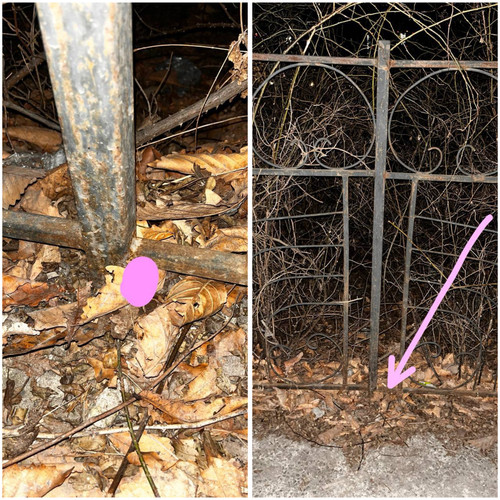 C14B5BDD DFA5 4E1E BE25 2885A6F11895.jpg