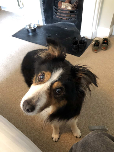 image 2026 02 24 223104631.png