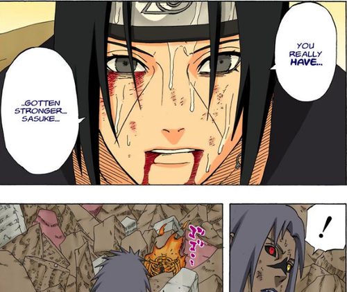 Captura de tela 2026 02 23 115401.png