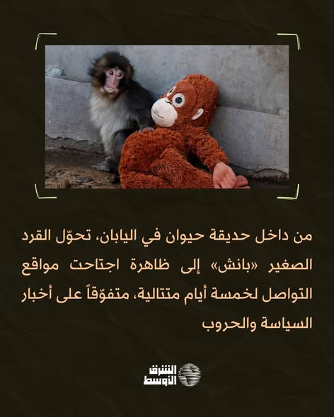 641306811 1343073994528625 5296728857903059610 n.jpg?stp=dst jpg s590x590 tt6& nc cat=103&ccb=1 7& n.jpg