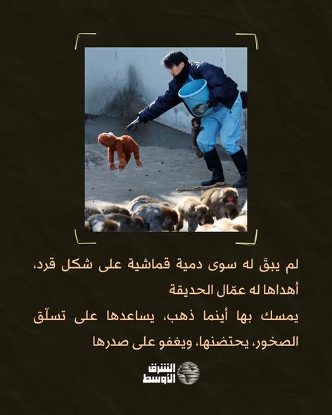 641435115 1343074114528613 2303623901036984734 n.jpg?stp=dst jpg s590x590 tt6& nc cat=101&ccb=1 7& n.jpg