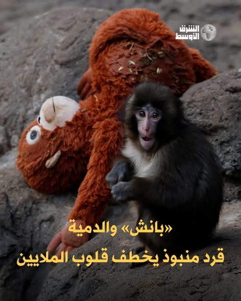 641374794 1343074031195288 1901751397046859946 n.jpg?stp=dst jpg s590x590 tt6& nc cat=102&ccb=1 7& n.jpg