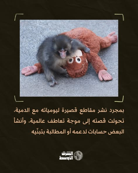 639168840 1343074027861955 4291761746573959289 n.jpg?stp=dst jpg s590x590 tt6& nc cat=110&ccb=1 7& n.jpg