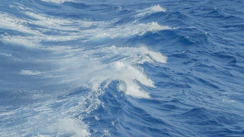 Untitled971 20260224051252.jpg