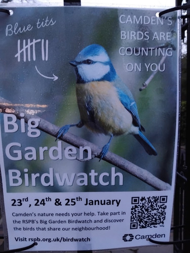 big garden bird watch.jpg
