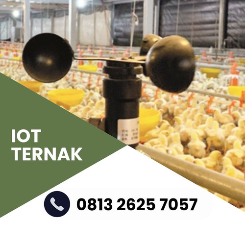 IoT (9).jpg