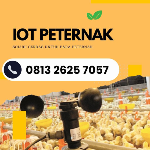 IoT (3).jpg